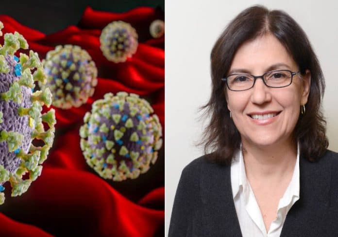 Cientista brasileira encontra proteína chave para tratamento da Covid