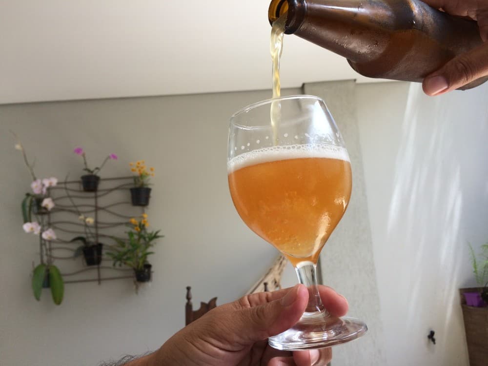 Consumo de cerveja ‘migra’ para dentro de casa e volume de vendas no Brasil é o maior desde 2014